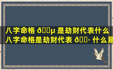 八字命格 🐵 是劫财代表什么「八字命格是劫财代表 🌷 什么意思」